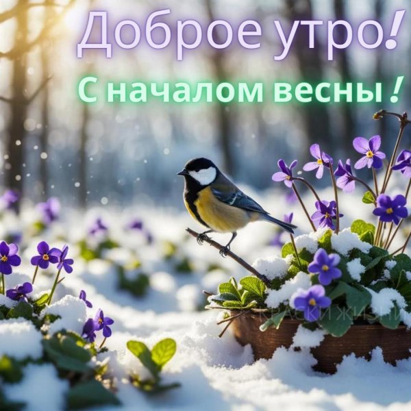 добрейшего весеннего утра