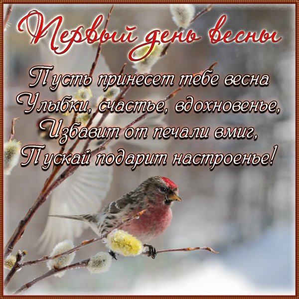 птицы ранней весной