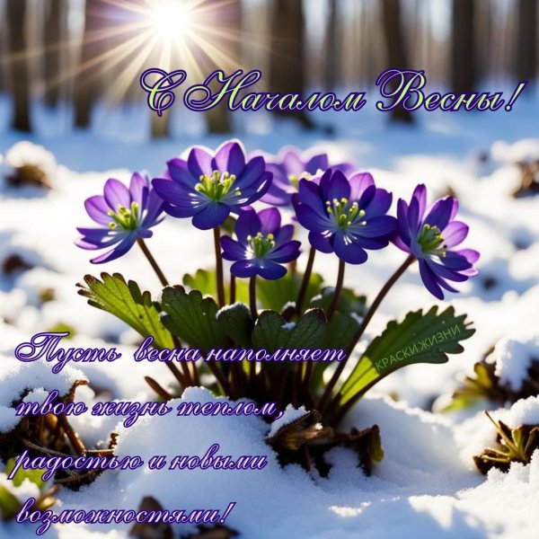 печеночница обыкновенная