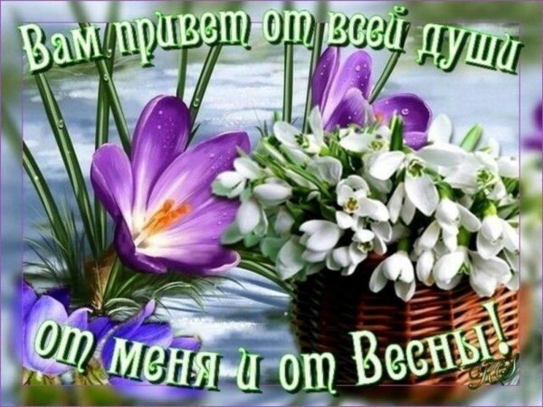 доброго весеннего дня
