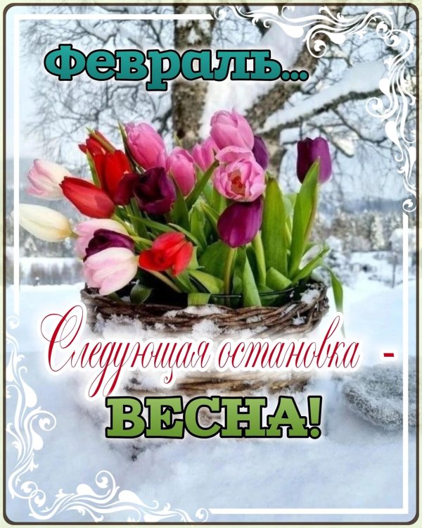 С первым днем весны с цветами