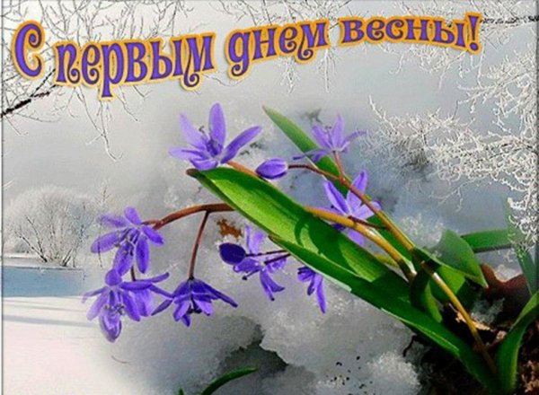 подснежник пролеска