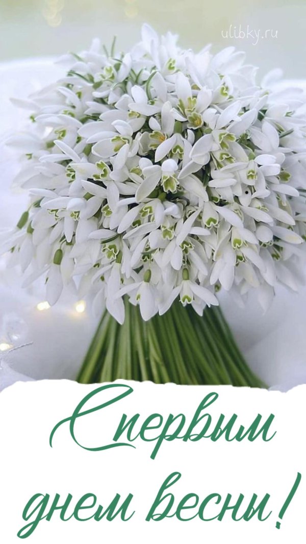 красивый букет подснежников