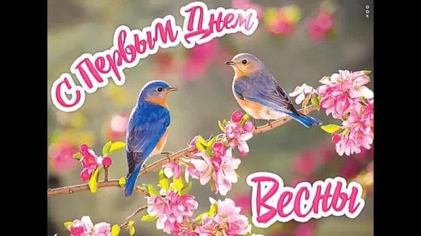 птички летом