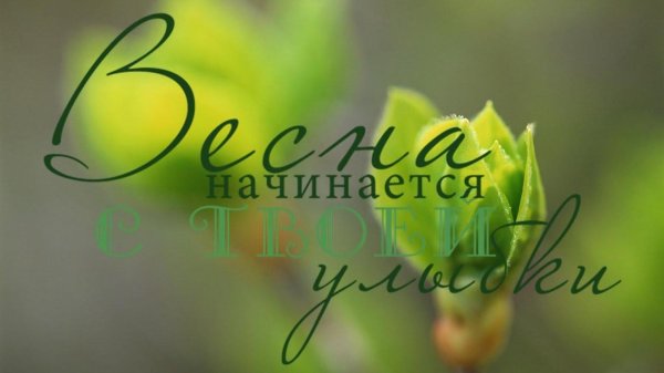 первая весенняя зелень