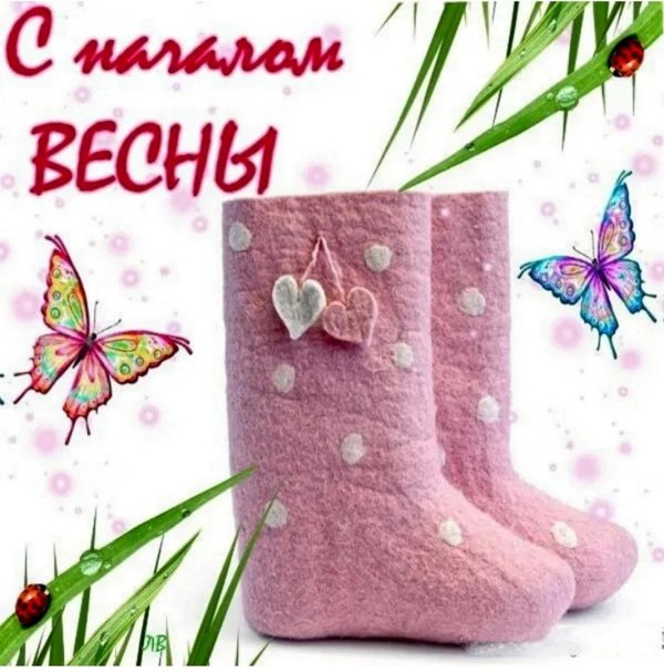 розовые валенки