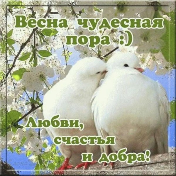 счастья мира и добра