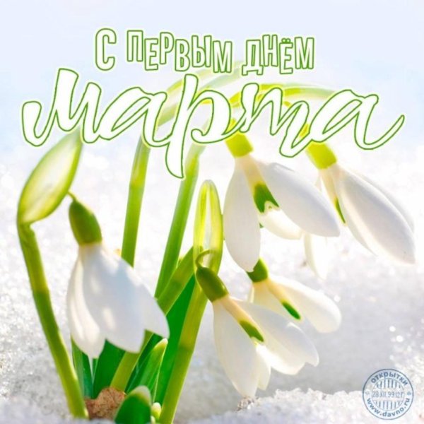 весенние поздравления