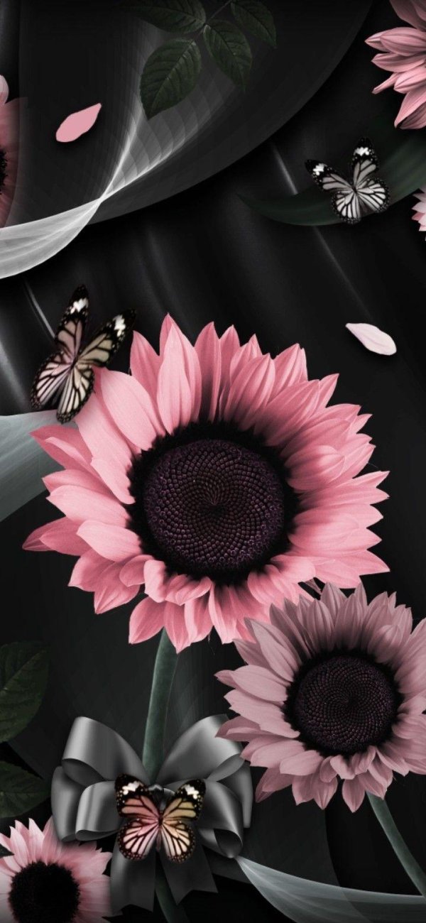 подсолнечник цветок