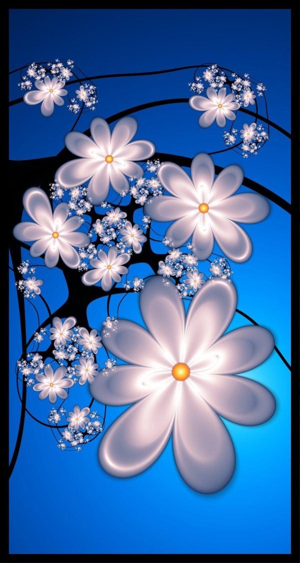 цветочные фоны