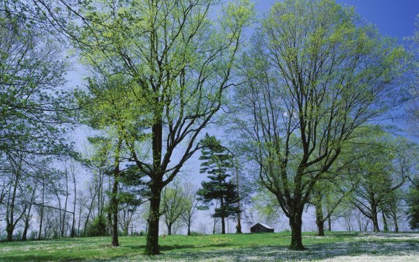 апрель природа