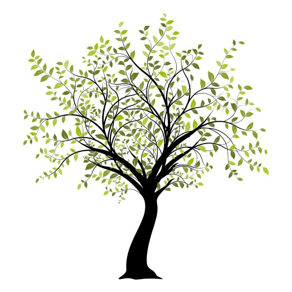 лист дерева вектор