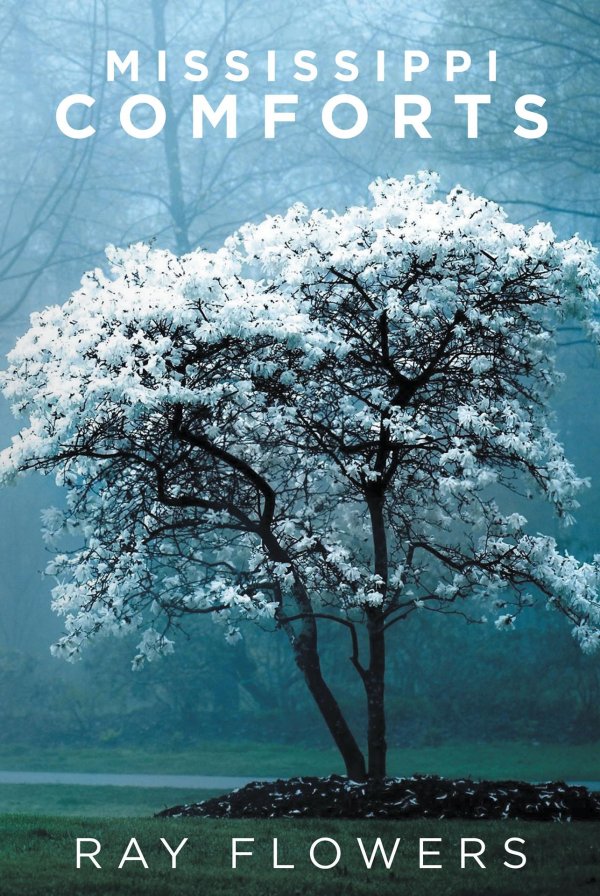 красивое дерево