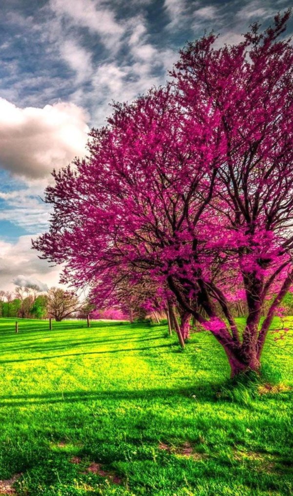 весенние пейзажи