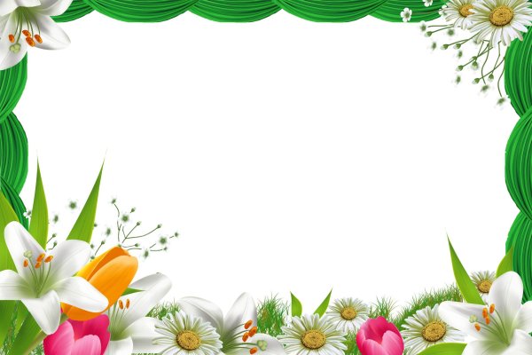 цветочные рамки