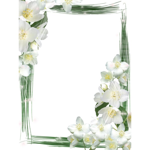 рамка цветами