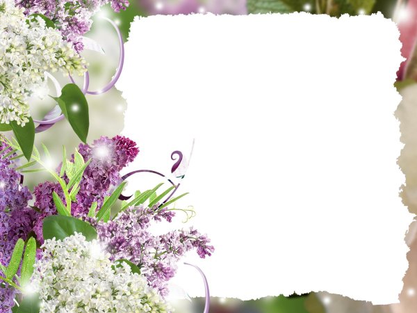 фоторамка сирень