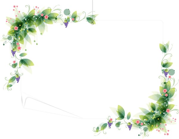 цветок рамка