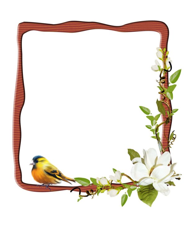 весенние рамки