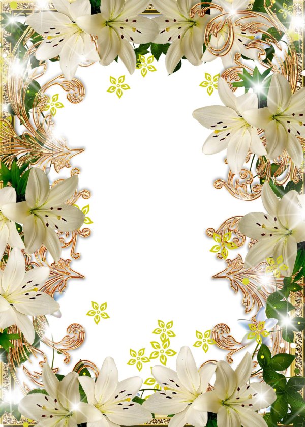 лилии на прозрачном фоне