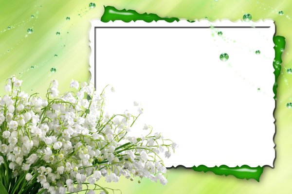 ландыши майские