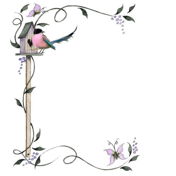 рамка птицы