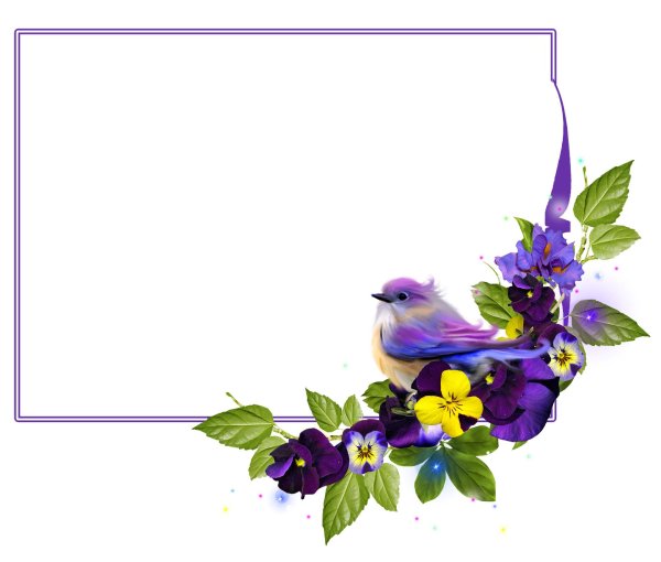 птички и цветы