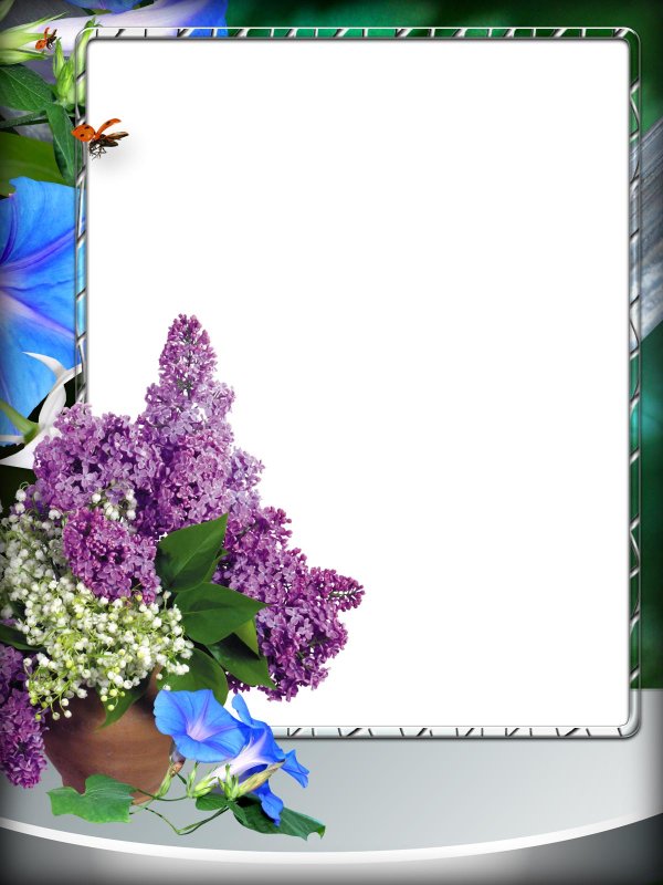 фоторамка сирень