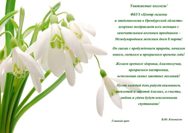 подснежник без фона