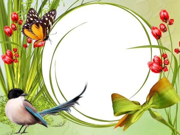 рамочка птички