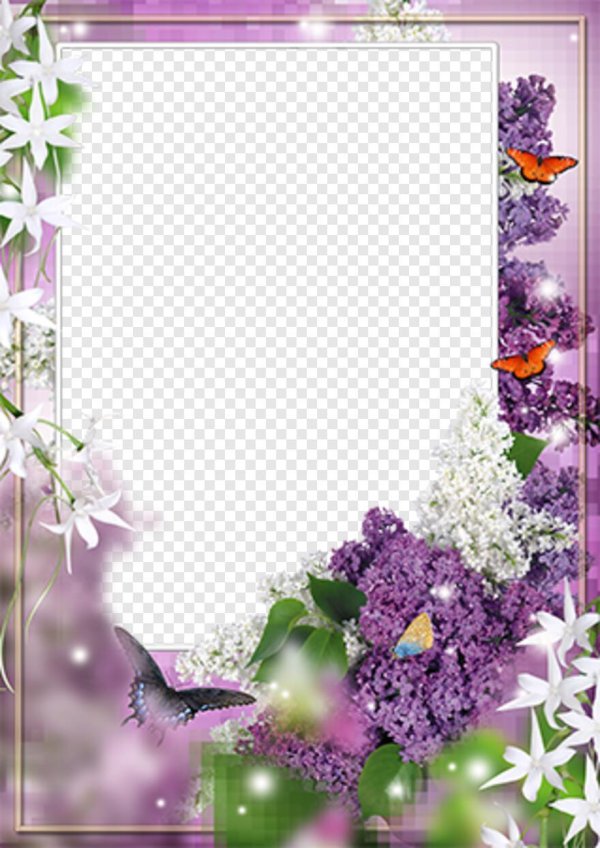 сиреневая рамка