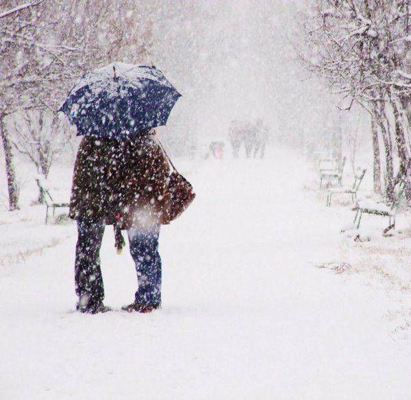 снегопад зонт