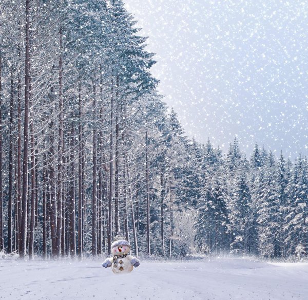 милый снеговик