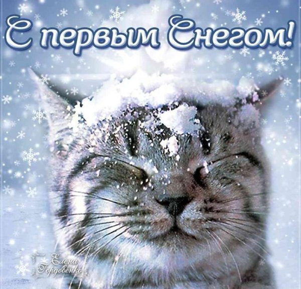 поздравление с первым снегом