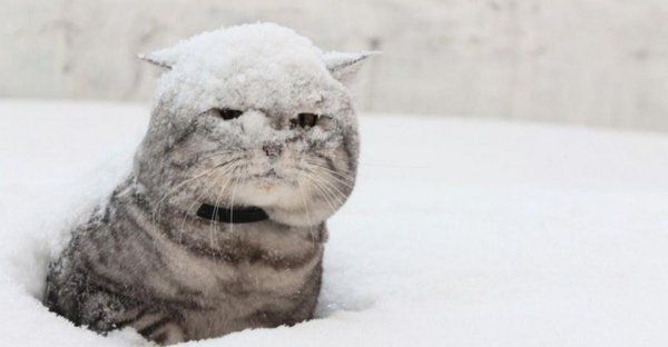 почти весна чуть чуть мешает метр снега