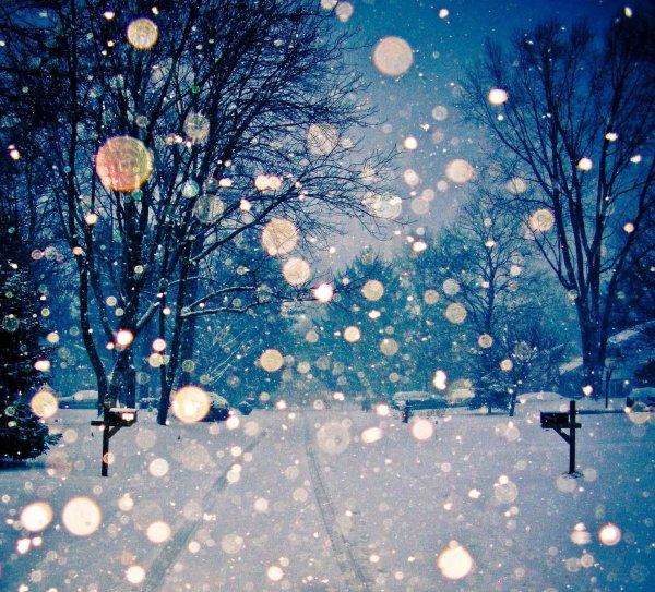 с первым снегом стильные