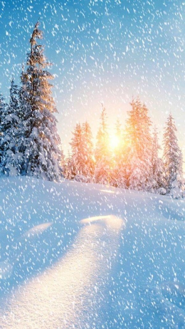 зимние пейзаж