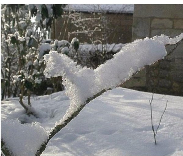 чудеса зимы