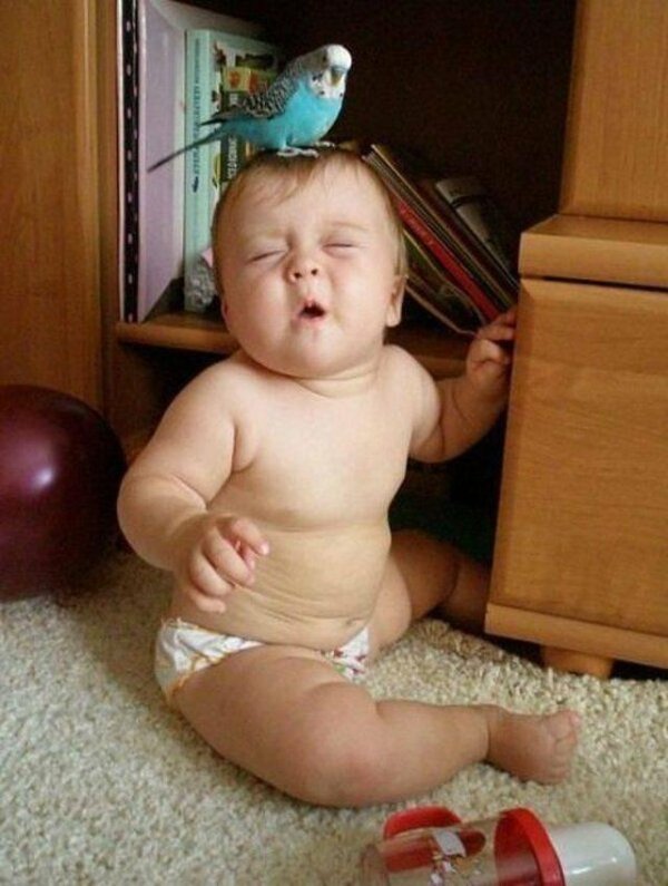 смешной младенец