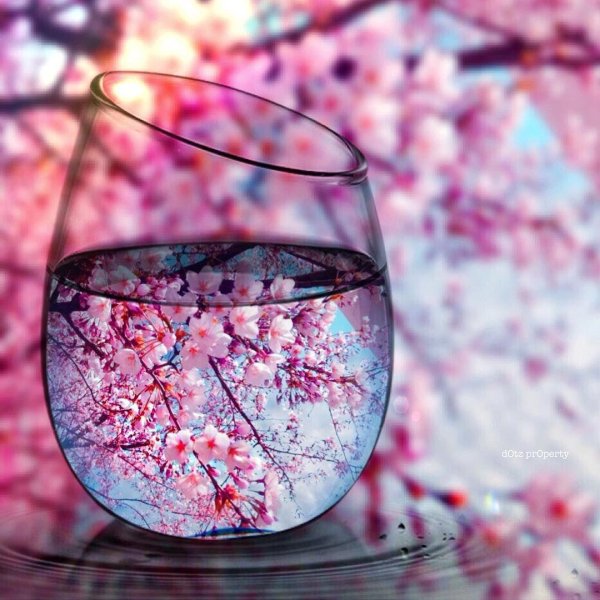 бокал декоративный