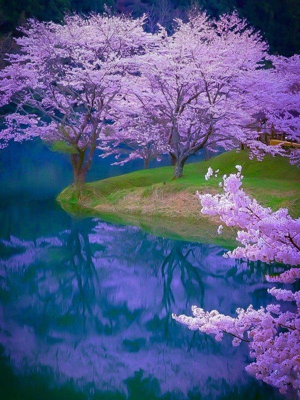 красивые пейзажи весны