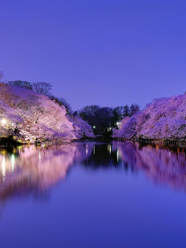 япония природа