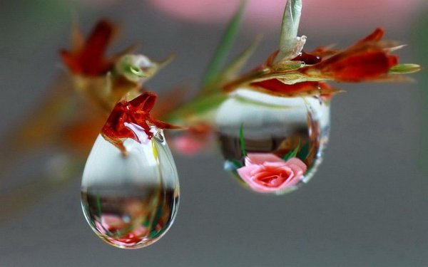 прекрасные мгновения жизни