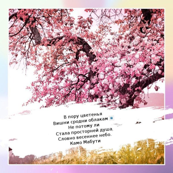 японские хокку