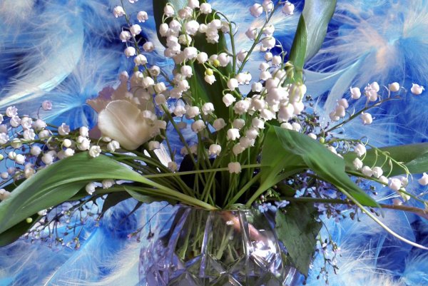 ландыши синие