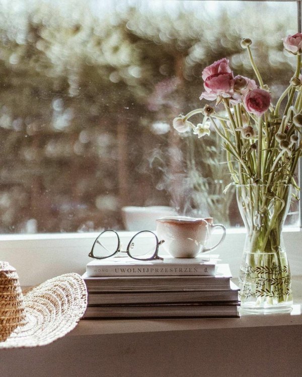 цветы у окна