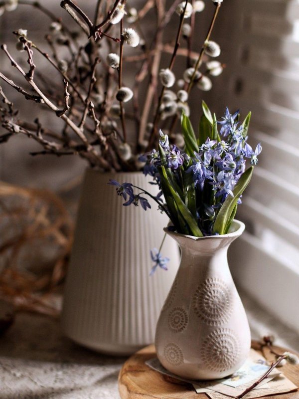 веточка вербы