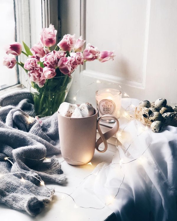 утренние цветы