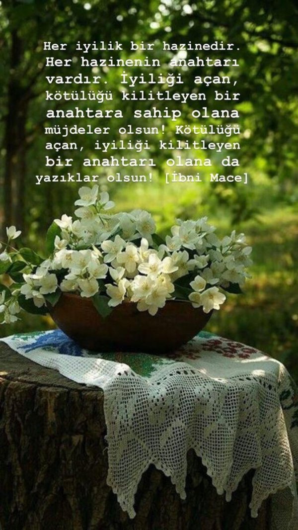 жасмин цветки