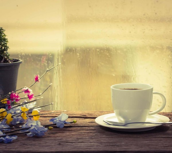 пасмурное летнее утро